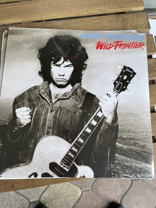 Gary Moore Wild Frontier Plak LP