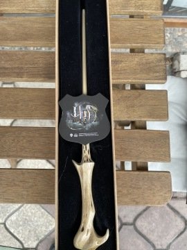 HARRY POTTER - WOLDEMORT ASA