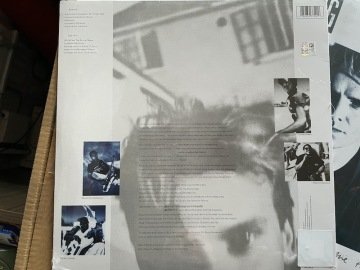 Sting The Dream of the Blue Turtles 180 gr Plak LP