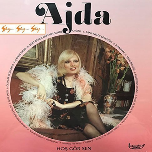 Ajda Pekkan - Hoş Gör Sen 33'lük Plak