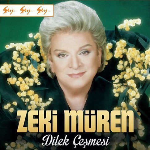 Zeki Müren - Dilek Çeşmesi Plak