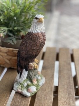 RENKLİ KARTAL BİBLO 23CM