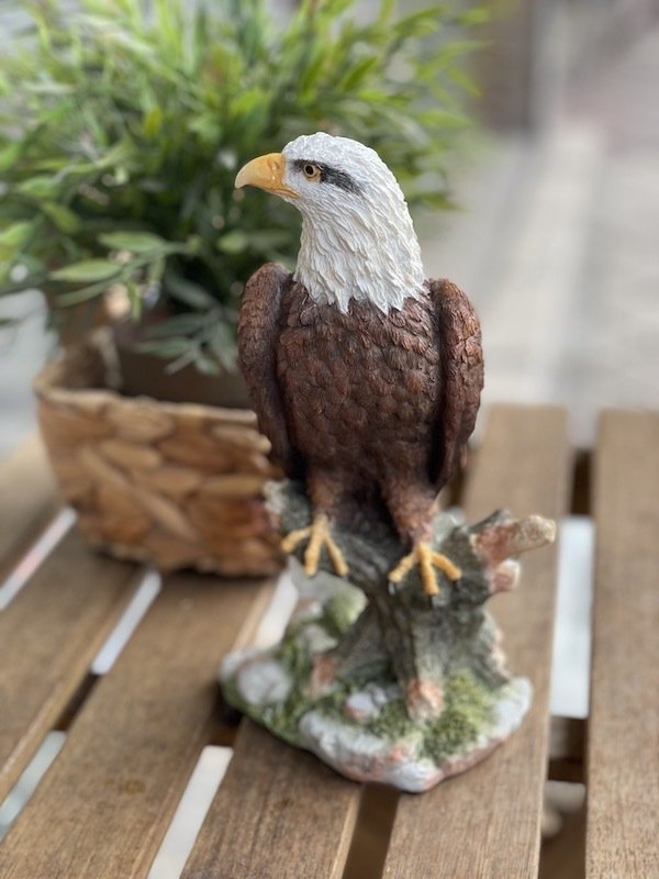 RENKLİ KARTAL BİBLO 23CM