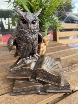 BAYKUŞ BİBLO - KİTAPLI