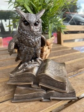 Kitap Üstünde Duran Baykuş Biblosu