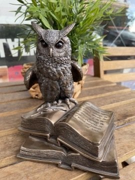 Kitap Üstünde Duran Baykuş Biblosu