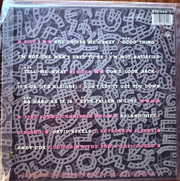 FYC FIVE YOUNG CANNIBALS - THE RAW AND COOKED LP