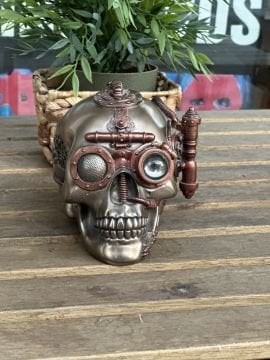 Steampunk Tasarım Kuru Kafa Saklama Kutulu Biblo