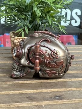 Steampunk Tasarım Kuru Kafa Saklama Kutulu Biblo