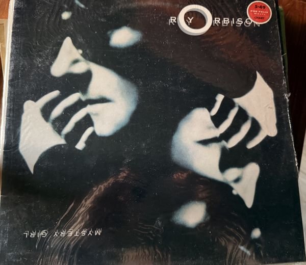Roy Orbison Mystery Girl LP Plak