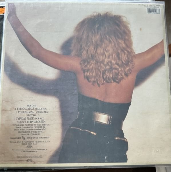 TINA TURNER - TYPICAL MALE - MAXI SINGLE