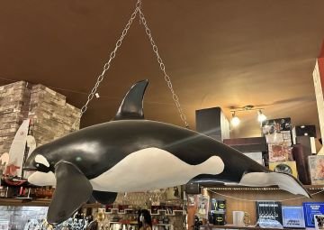 Orca Katil Balina Dev Figür 130cm