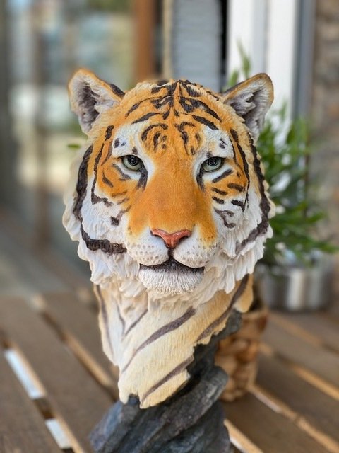 Dekoratif Büyük Kaplan Büst Biblosu