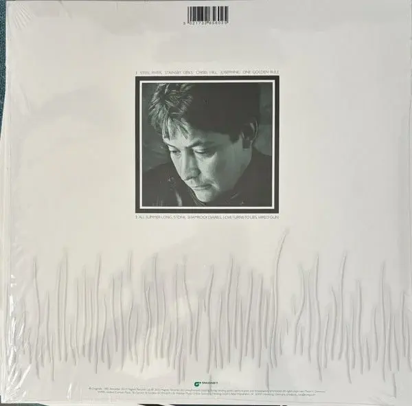 Chris Rea Shamrock Diaries Renkli Plak LP