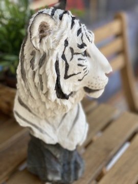 BEYAZ KAPLAN BÜST BİBLO